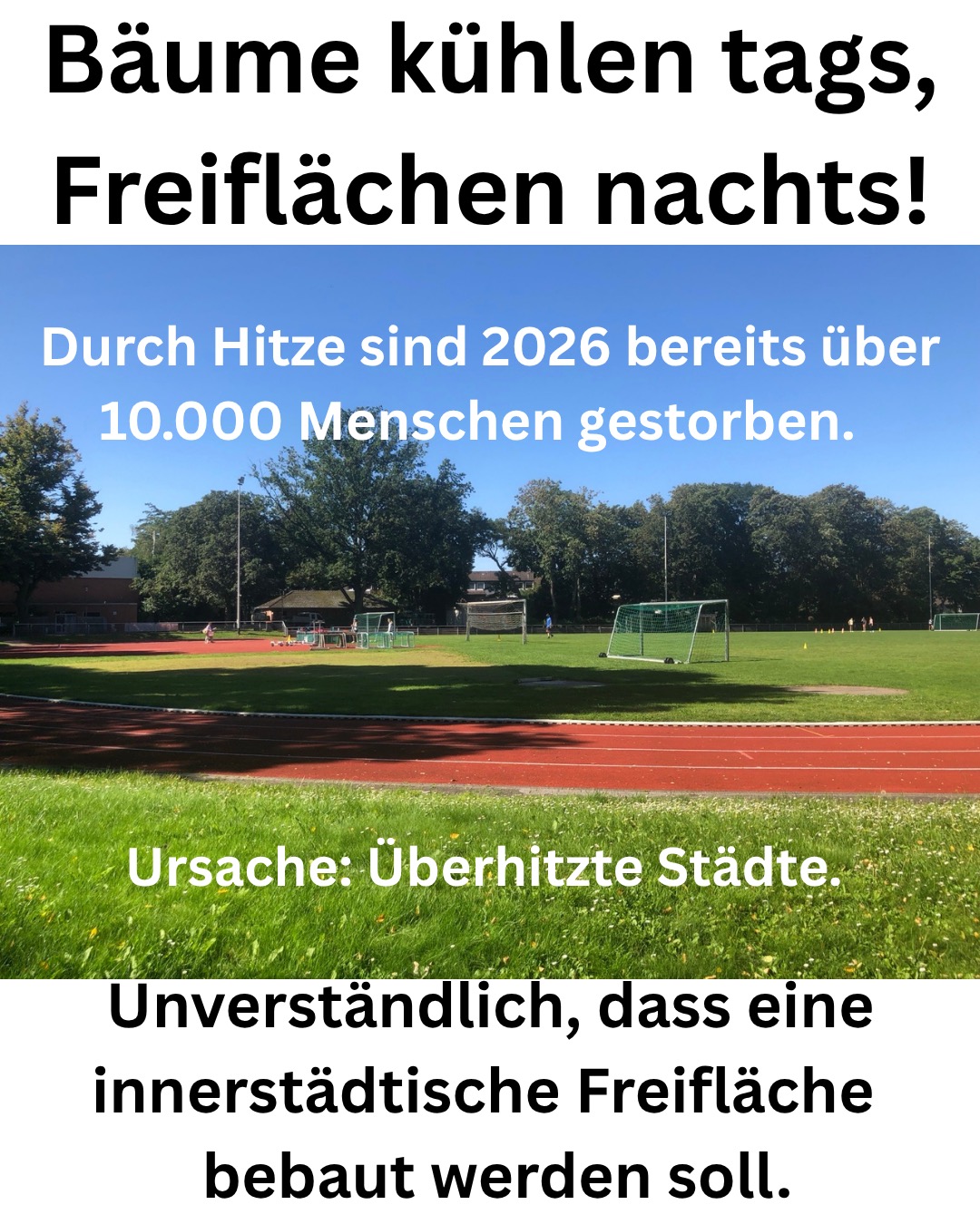 4 bäume